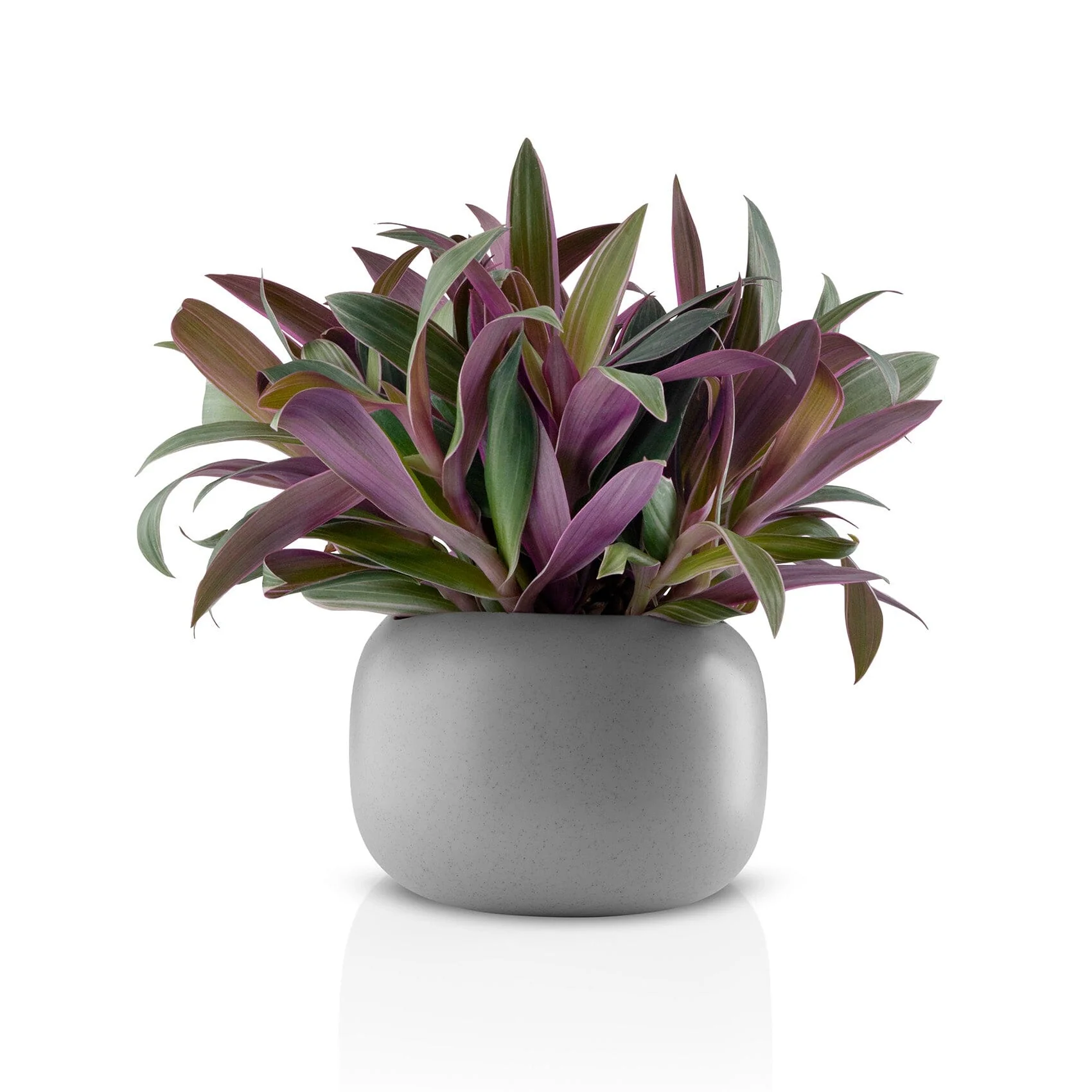 Eva Solo Stone Display Flower Pot - Image 4