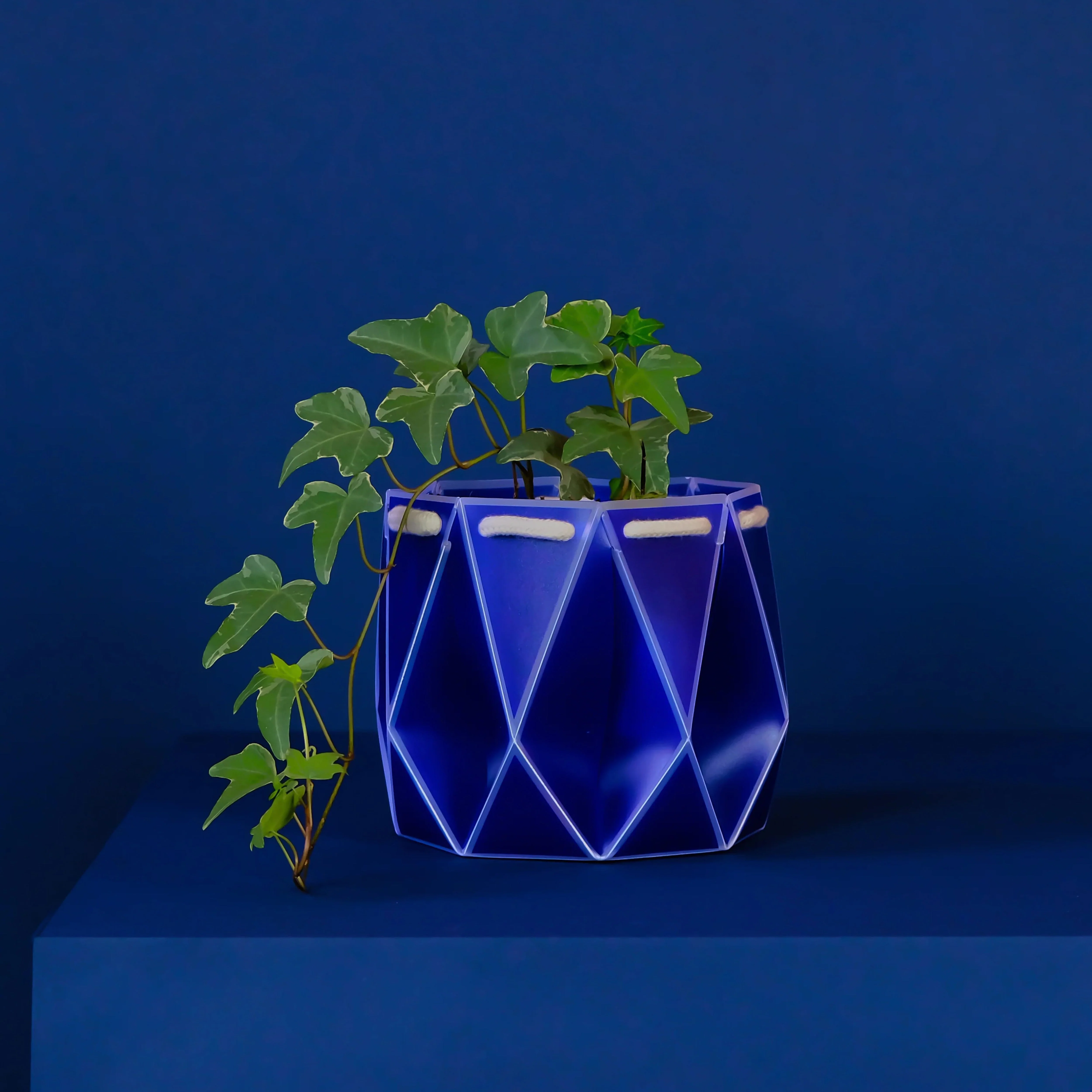 POTR Self-Watering 5.9" Diameter Pot - Image 5