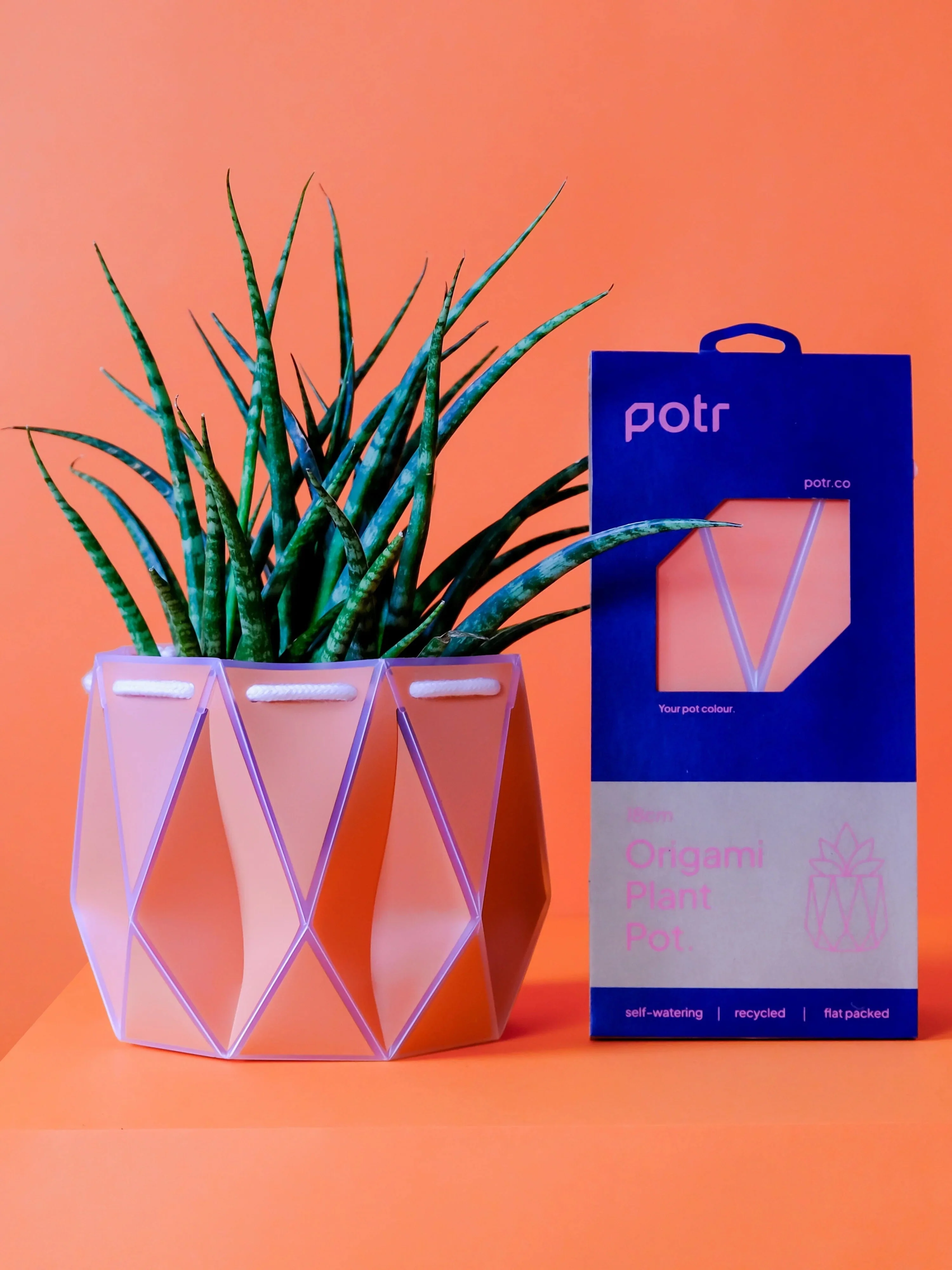 POTR Self-Watering 7" Diameter Pot In Coral Orange - Image 2