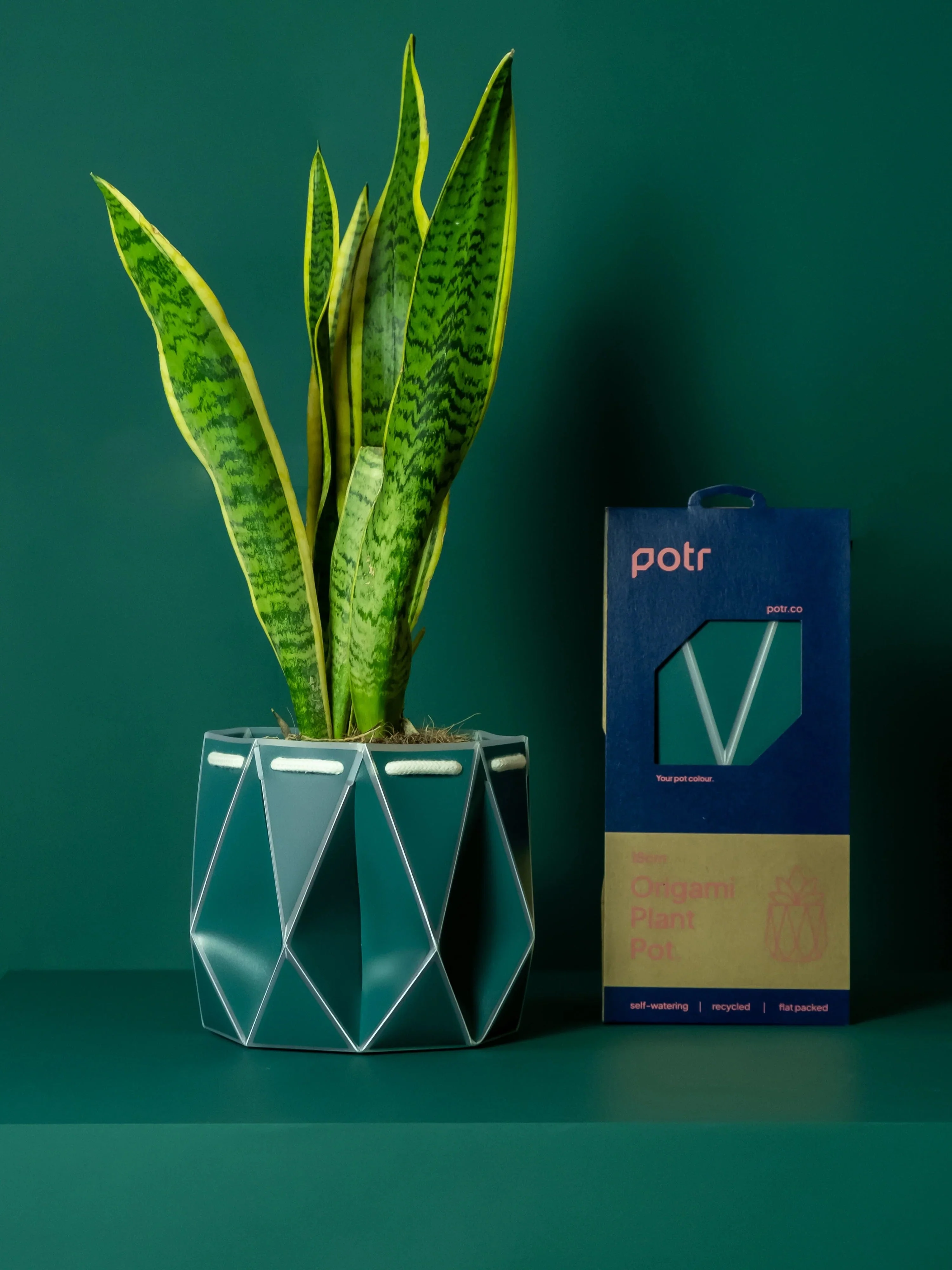 POTR Self-Watering 7" Diameter Pot In Dark Teal - Image 2