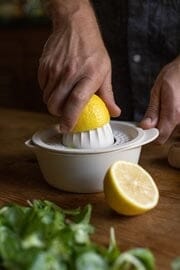 Tranquillo Lemon Squeezer - Image 4